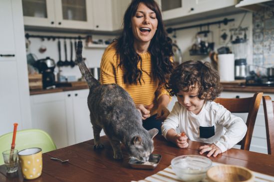 kuechentisch-katze-familie