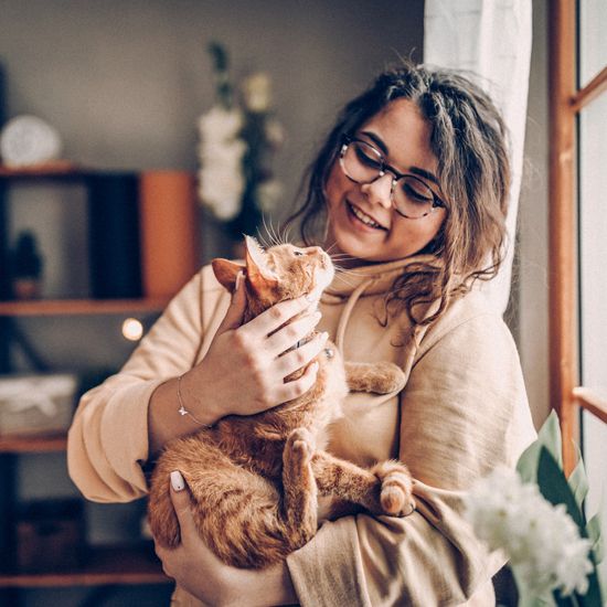 Katze-kuscheln