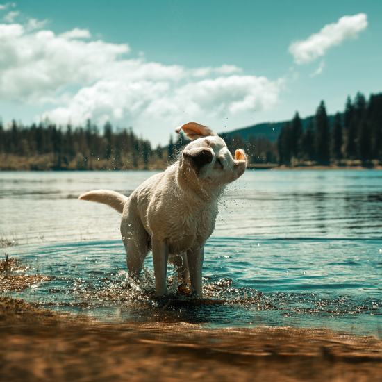 istock_901218838