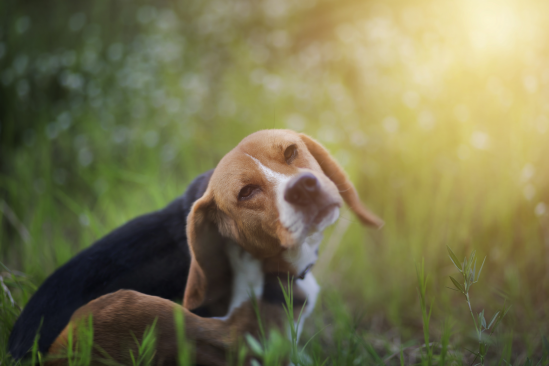 iStock_840592728