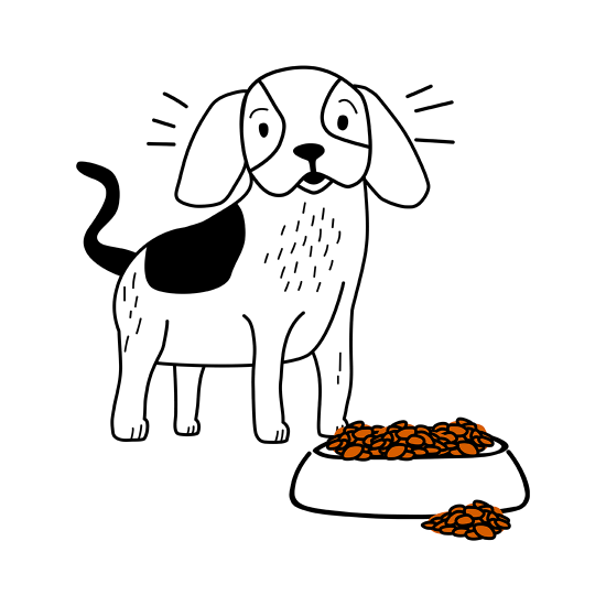 Green Petfood Trockenfutter Hund