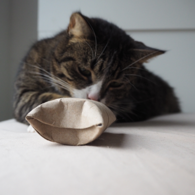 Cat toy DIY – easy and homemade
